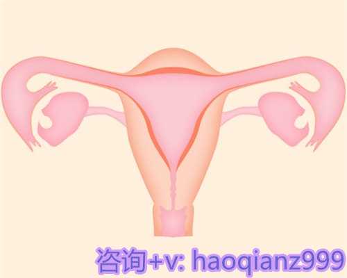 供卵公司, 揭秘深圳三代试管：那些吹嘘背后的真实骗局
